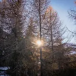 Dust And Snow - Sulle Piste Da Sci Di * 皮拉